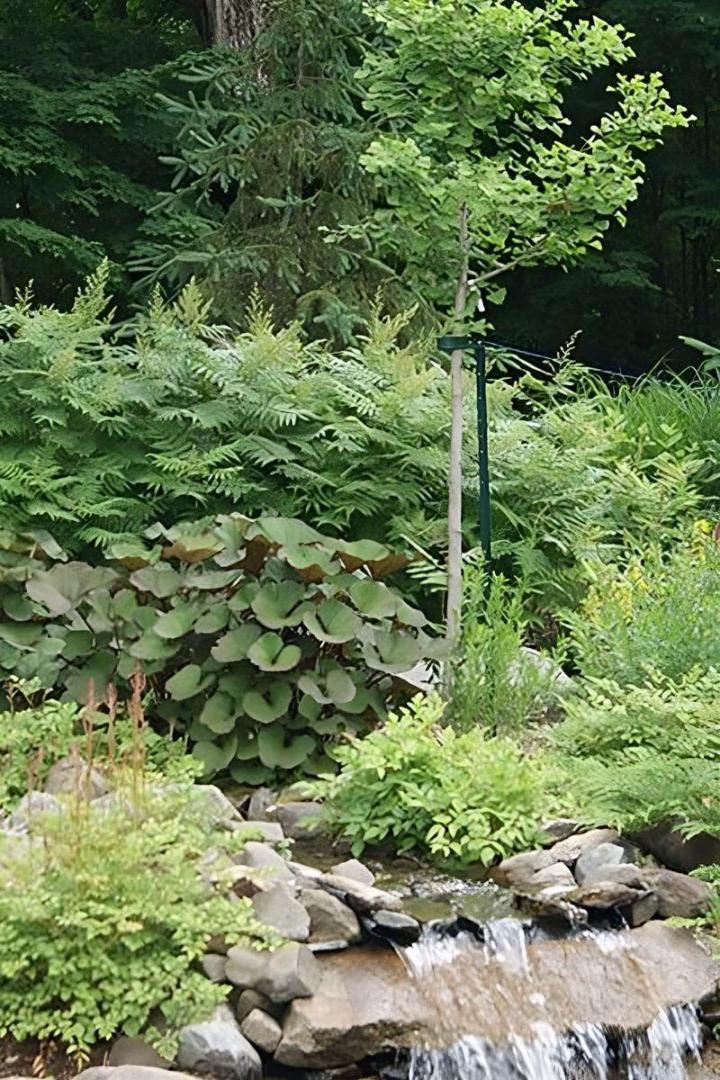 Service d'entretien paysager résidentiel et commercial à Granby.